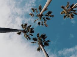 تجربة طيران شراعي فوق جبال أبها — صورة 1